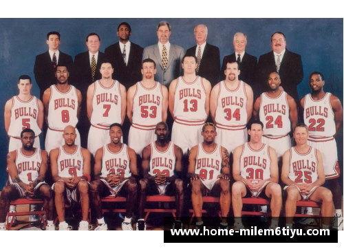 NBA芝加哥公牛队2024赛季全新阵容一览
