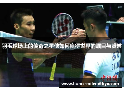 羽毛球场上的传奇之星他如何赢得世界的瞩目与赞誉