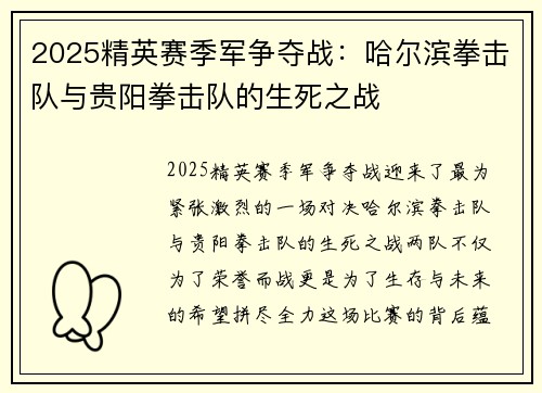 2025精英赛季军争夺战：哈尔滨拳击队与贵阳拳击队的生死之战